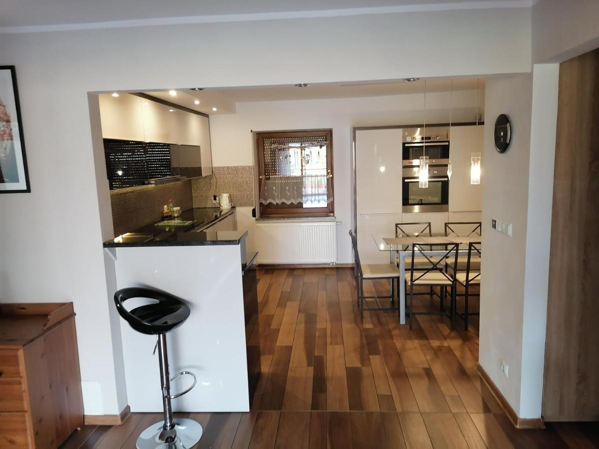 Apartamenty Pod Dzikowcem Boguszów-Gorce Eksteriør bilde