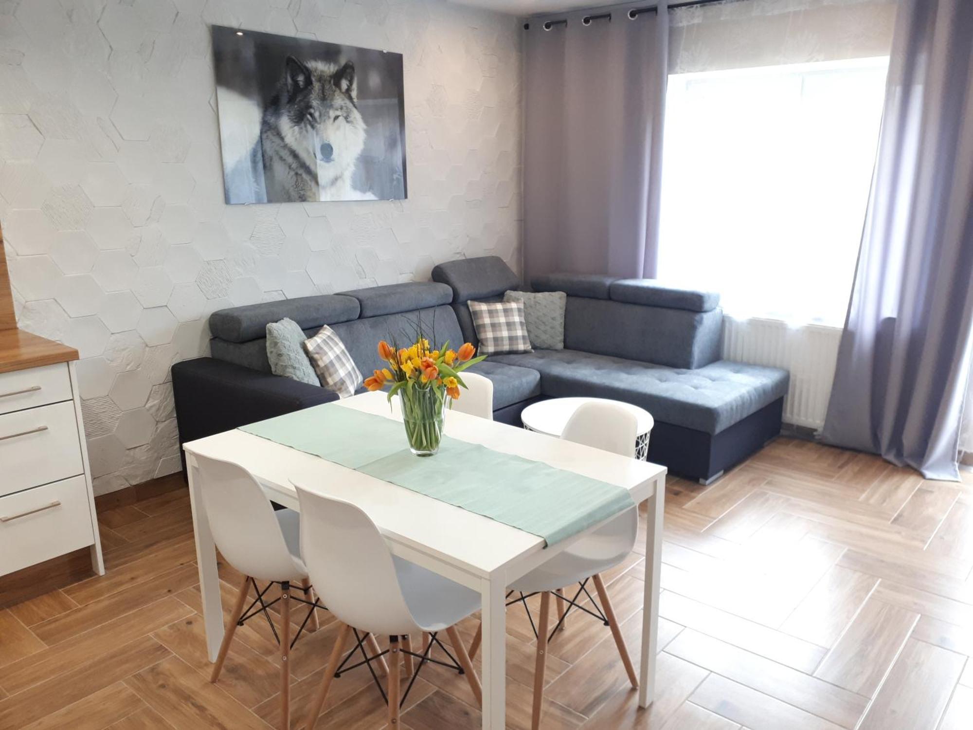 Apartamenty Pod Dzikowcem Boguszów-Gorce Eksteriør bilde