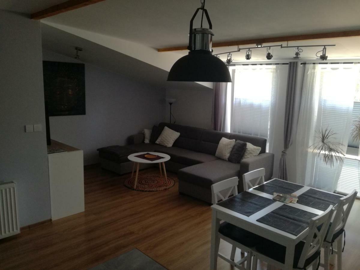 Apartamenty Pod Dzikowcem Boguszów-Gorce Eksteriør bilde