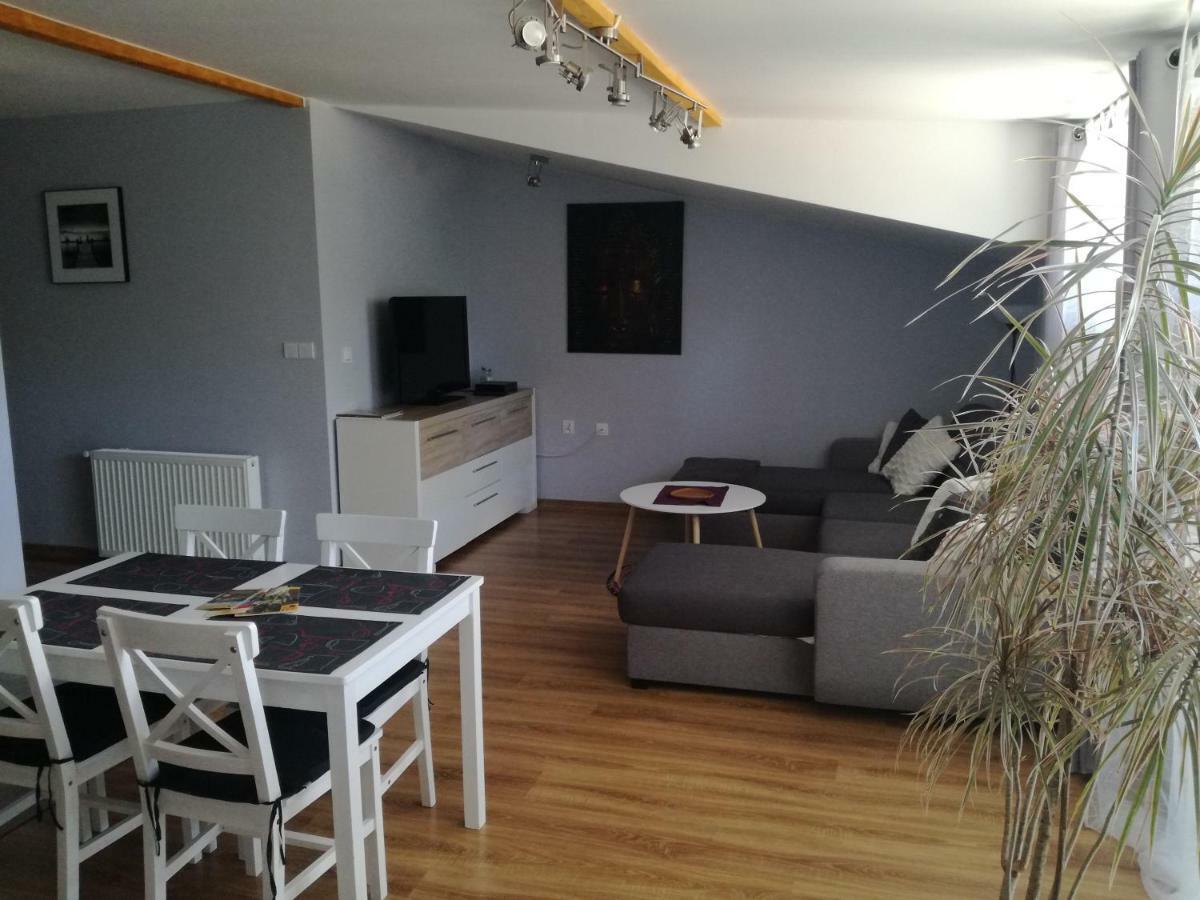 Apartamenty Pod Dzikowcem Boguszów-Gorce Eksteriør bilde